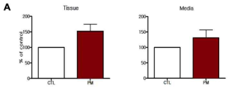 30 ug/mL의 미세먼지 (PM5)를 치매 쥐 해마조직 배양에 처치한 결과, 조직과 조직배양액에서 아밀로이드 베타의 수준이 대조군에 비해 증가함