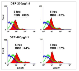 DEP 농도에 따른 활성산소의 생성 (Upper panels, DEP 200 μmol/ml. lower panels, DEP 400 μmol/ml. Note the DEP induced increase of ROS generation in dose and time dependent manner.)