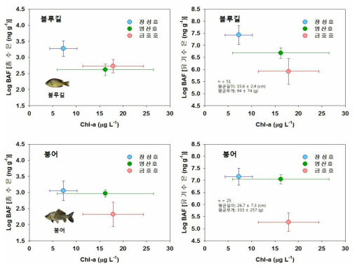 Chl-a 농도 vs 어류의 생물농축계수 (BAF)