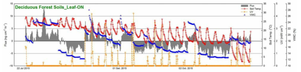 활엽수림 토양 leaf-on 기간의 시간별 수은플럭스 변화 (2015/07/22 - 2015/10/30)