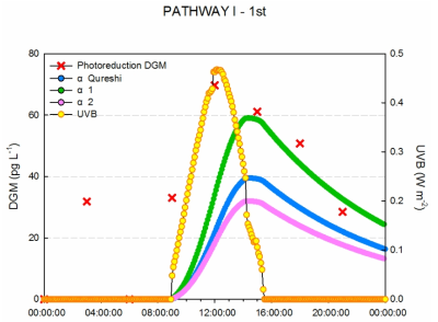 1차 PATHWAY (I)을 이용하여 α값에 의해 추정되는 DGM 농도와 실제 DGM 농도 비교