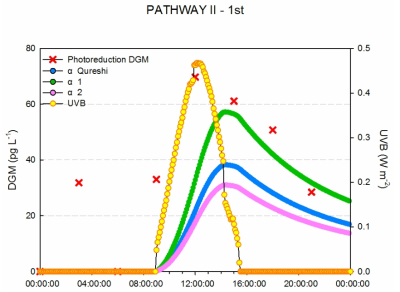 1차 PATHWAY (II)을 이용하여 α값에 의해 추정되는 DGM 농도와 실제 DGM 농도 비교