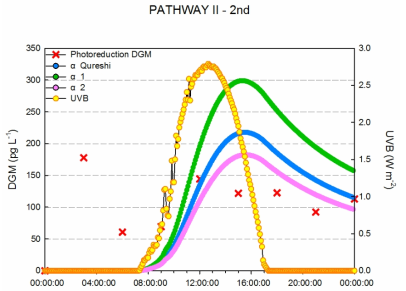 2차 PATHWAY (II)을 이용하여 α값에 의해 추정되는 DGM 농도와 실제 DGM 농도 비교