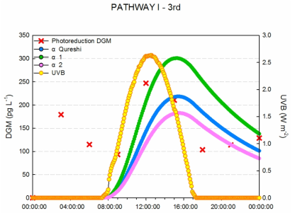 3차 PATHWAY (I)을 이용하여 α값에 의해 추정되는 DGM 농도와 실제 DGM 농도 비교