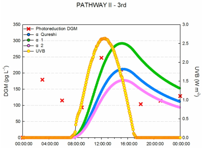 3차 PATHWAY (II)을 이용하여 α값에 의해 추정되는 DGM 농도와 실제 DGM 농도 비교