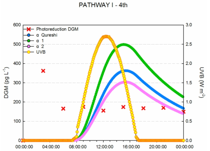 4차 PATHWAY (I)을 이용하여 α값에 의해 추정되는 DGM 농도와 실제 DGM 농도 비교