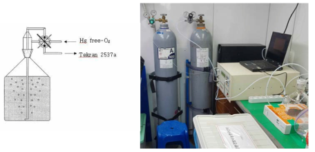 용존가스상 수은 측정 방법 모식도(좌)와 본 연구에서 사용된 용존 가스상 수은 분석 방법(우)