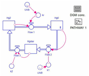 PATHWAY (I) 방법을 바탕으로 만든 stella model 모식도