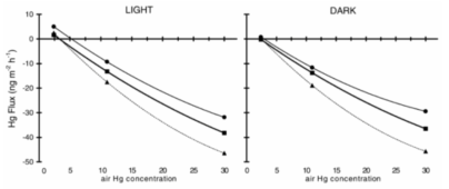 낮 시간대와 밤 시간대의 토양수은농도에 따른 보상점 변화(J.A.Ericksen et al.. 2004)