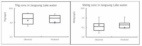 장성호에서 측정된 수은의 농도와 SWAT으로 예측한 수은 농도의 비교