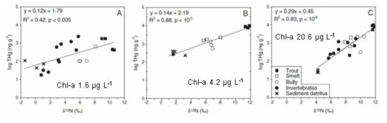 클로로필a 농도에 따른 생물증폭계수의 변화 (Verburg et al., 2014)