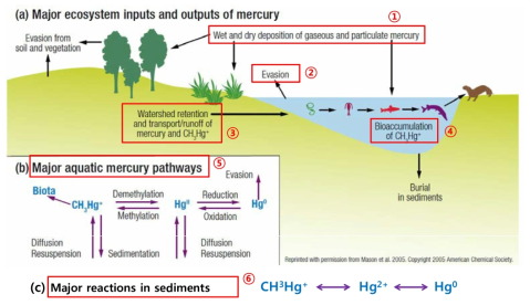 대기에서 침적되는 수은의 유역-수체 거동 개념도