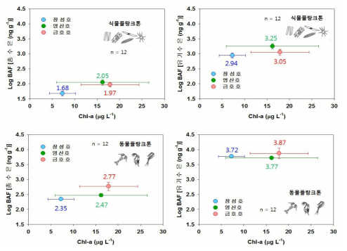 Chl-a 농도 vs 플랑크톤의 생물농축계수 (BAF)