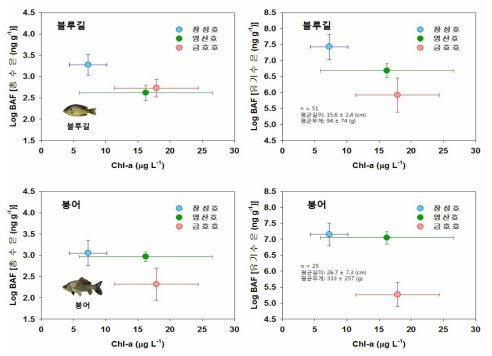 Chl-a 농도 vs 어류의 생물농축계수 (BAF)