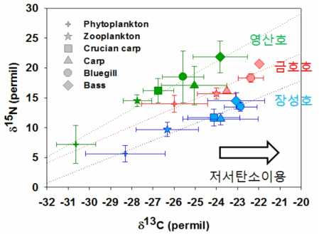 영산호, 금호호, 장성호 생물의 질소, 탄소 안정동위원소비