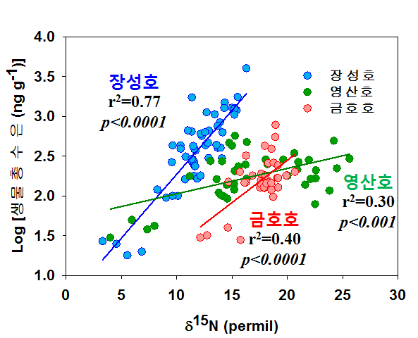 영산호, 금호호, 장성호 생물의 총수은 농도 vs δ15N