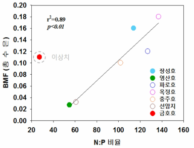 세호수의 총수은 BMF와 N:P 연관성 (자료출처: 2017년도 수은통합 보고서)