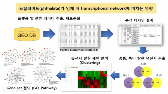 프탈레이트 관련 유전체 데이터 분석 전략 및 실행 체계