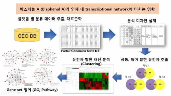 비스페놀A 관련 유전체 데이터 분석 전략 및 실행 체계