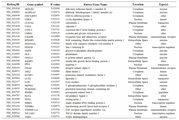 BPA 관련 상위 30개 유전자 목록