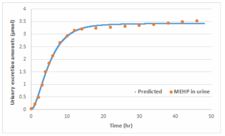PBPK 모델의 예측치와 인체 실측치와의 비교를 통한 최적화 [n=1, 뇨중 MEHP, Kessler et al., 2012]