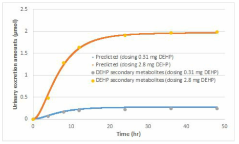 PBPK 모델의 예측치와 인체 실측치와의 비교를 통한 밸리데이션 [n=20, 뇨중 DEHP의 2차 대사산물인 MEHHP+MEOHP, Andersen et al., 2011]