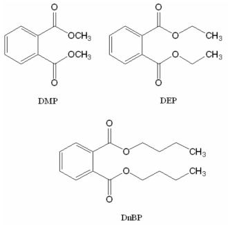 대사체가 동일한 FUE를 지닌 것으로 가정한 비슷한 이화학적 성질을 지닌 프탈레이트류의 구조 (DMP, DEP, DnBP)