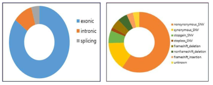 Somatic mutation 분포 양상