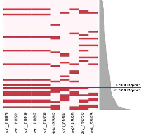 환자군에서 100Bq/㎥기준 유의한 차이를 보인 SNP의 Heatmap