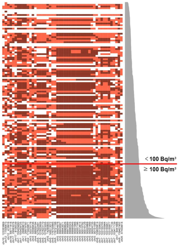 전체인원에서 100Bq/㎥기준 유의한 차이를 보인 SNP의 유전형 Heatmap