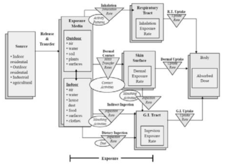 미국 EPA의 다매체·다경로 인체 노출평가 개념도