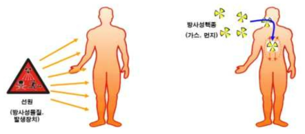 외부 방사선 노출(좌)과 내부 방사선 노출(우)의 개념