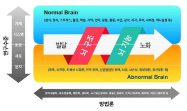 뇌연구 범위 출처 : 동 사업 기획보고서