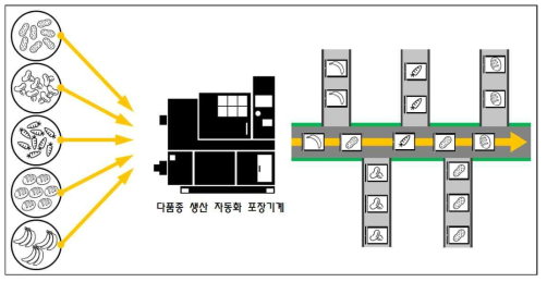 다품종 생산 자동화 포장기계 개념도