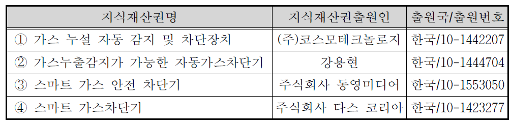 국내외 관련지식재산권 현황