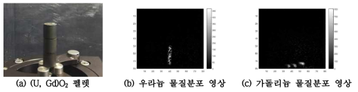 (U, Gd)O2 펠렛 물질분석 실험 결과 영상