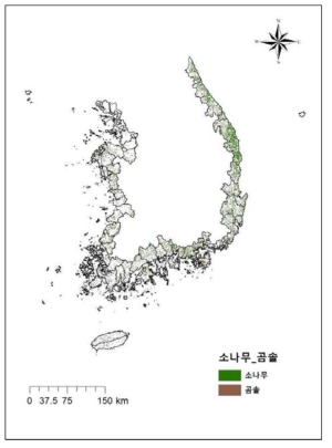 연안지역 임상도(곰솔)