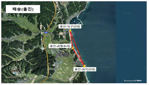 해송(울진) 시료 채취