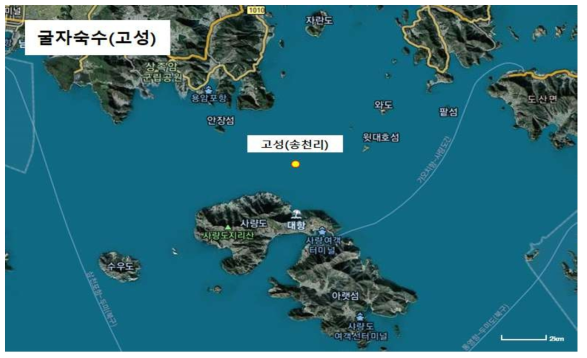 굴자숙수(고성) 시료 채취