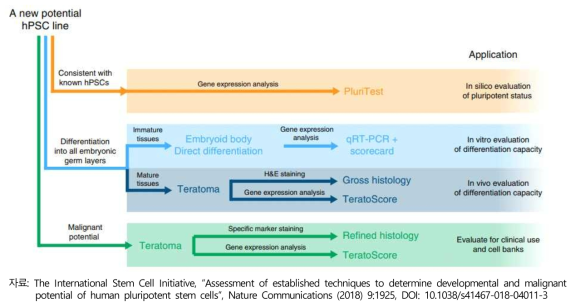 얻고자하는 정보에 따른 hPSC 특성 분석 전략