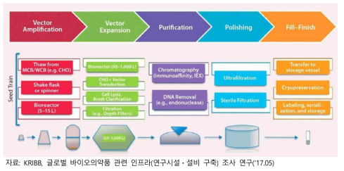 유전자 바이러스 벡터 제조단계