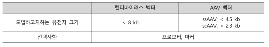 바이러스 벡터 디자인 및 클로닝 서비스 내용