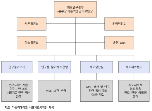 가톨릭세포치료사업단 조직도