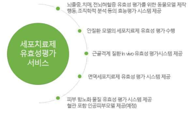 Cell the P 세포치료제 유효성 평가 서비스