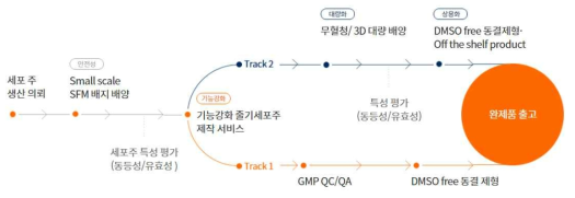 Cell the P 기능강화 줄기세포주 제작 과정