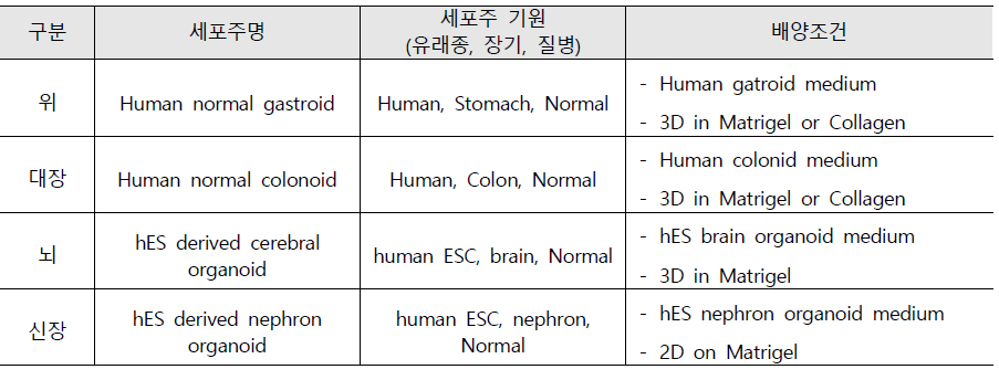 인간 기원 오가노이드 분양 서비스 목록