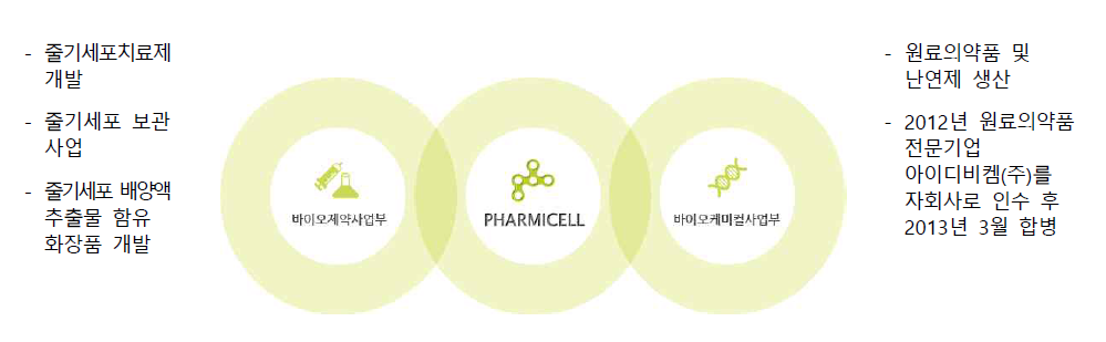 파미셀 사업부 및 사업 영역