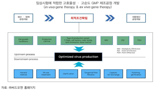 씨드모젠 GMP 제조공정 개발 모식도