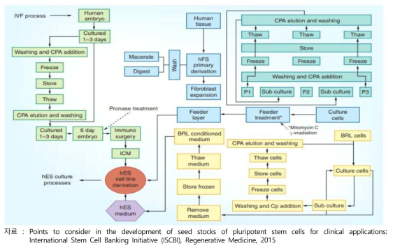 미국 WiCell에서 제시하는 인간 ESC 유도(derivation) 프로세스 맵