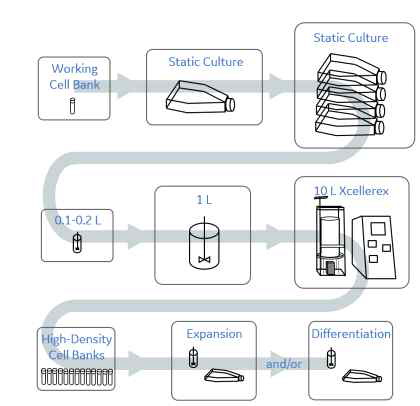 대규모 PSC 증폭 절차